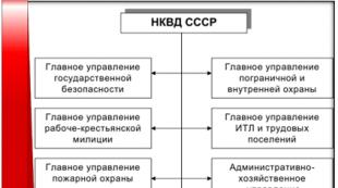 NKVD va partizan harakati